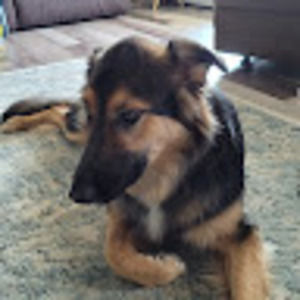 Meet your Posher, Gail